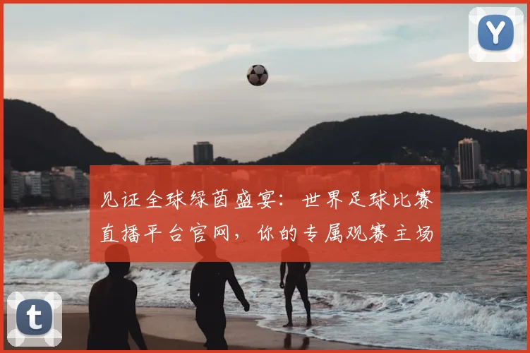 见证全球绿茵盛宴：世界足球比赛直播平台官网，你的专属观赛主场