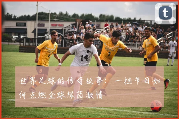世界足球的传奇故事：一档节目如何点燃全球绿茵激情