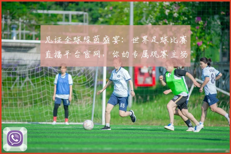 见证全球绿茵盛宴：世界足球比赛直播平台官网，你的专属观赛主场
